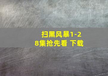 扫黑风暴1-28集抢先看 下载